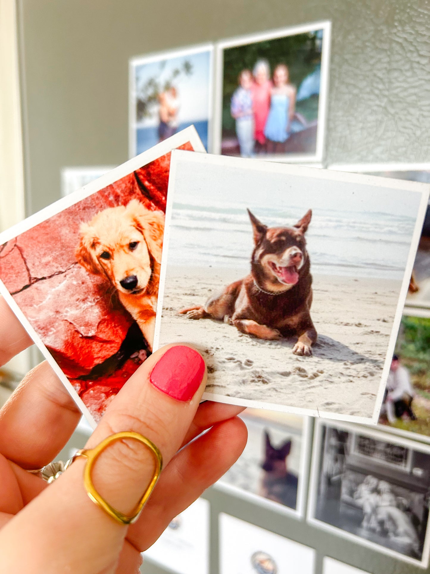 Small 2.5 X 2.5in Custom Photo Magnets